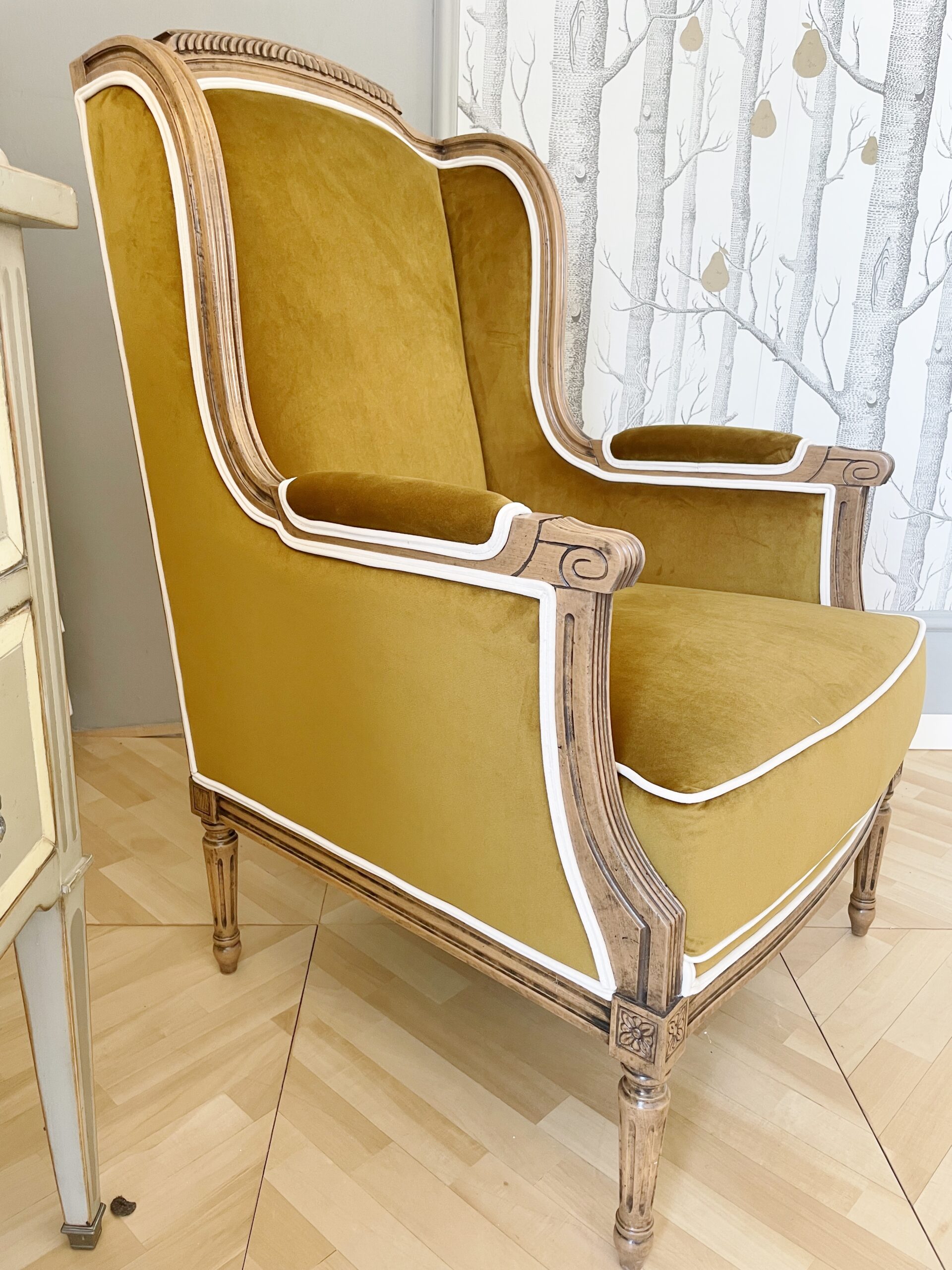 armchair Poltrona Bergère in velluto